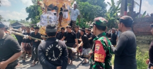 Babina Aan Bersama Bhabinkamtibmas Dan Pecalang Bersinergi Kawal Upacara Ngaben