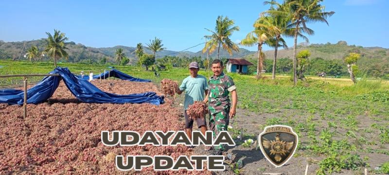 Dekatkan TNI dengan Rakyat, Babinsa Koramil 1612-02/Reok Bantu Petani Mata Air