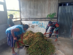 Jaga Kesuburan Tanah, Babinsa Bersama PKK Desa Umaklaran Praktek Pembuatan Pupuk Bokashi