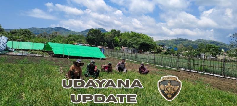 Sinergi TNI-Polri dan Petani, Sukseskan Panen Raya Bawang di Kecamatan Komodo
