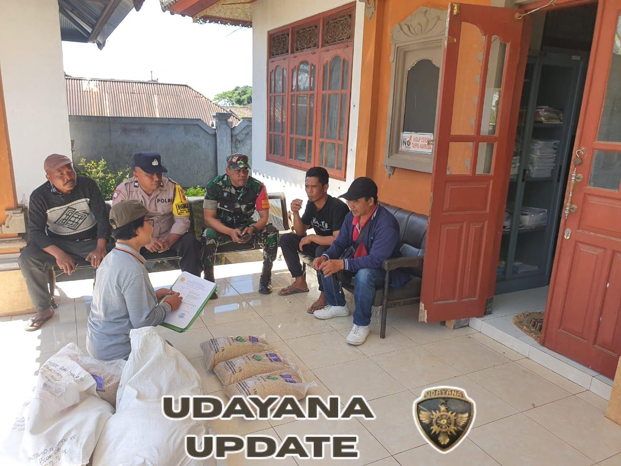 Babinsa Koramil 04/Kintamani Dukung Program Pertanian dengan Dampingi Distribusi Benih Padi Gogo