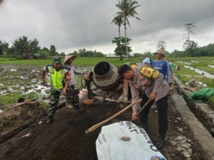 Sinergi Babinsa dan Bhabinkamtibmas Sukseskan Program Ketahanan Pangan Desa Suwat
