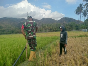 Pengecekan Pompanisasi di Desa Ngalukoja, Upaya Maksimalkan Irigasi Sawah oleh TNI dan Kelompok Tani