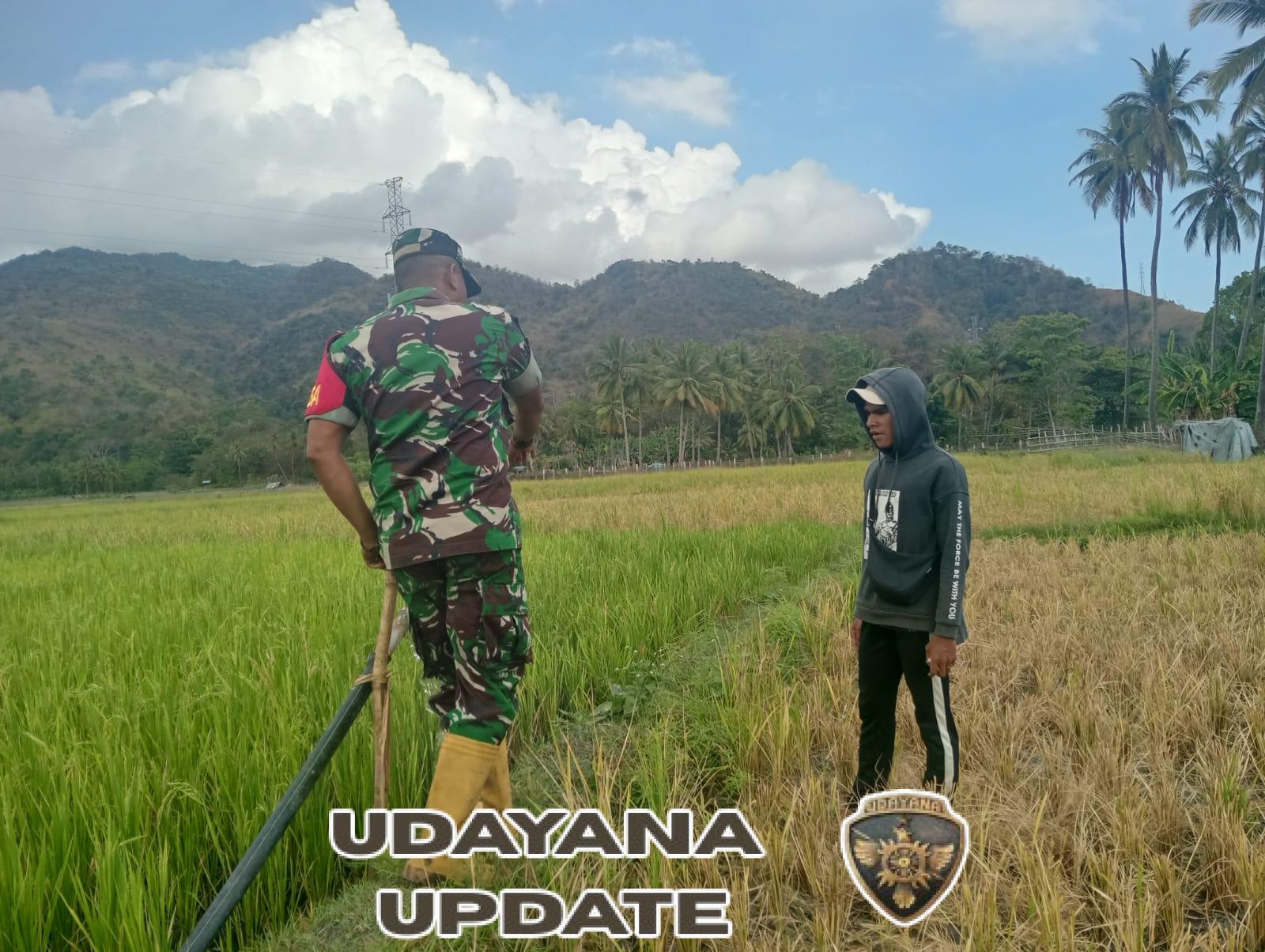Pengecekan Pompanisasi di Desa Ngalukoja, Upaya Maksimalkan Irigasi Sawah oleh TNI dan Kelompok Tani