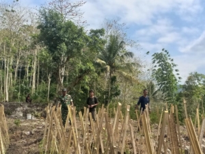 Babinsa Hadir di Tengah Petani, Warga Diratana Apresiasi Dukungan TNI