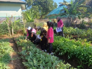 Ibu Ketua Persit Cabang XXVIII Kodim Dompu Panen Edugarden Wirabakti