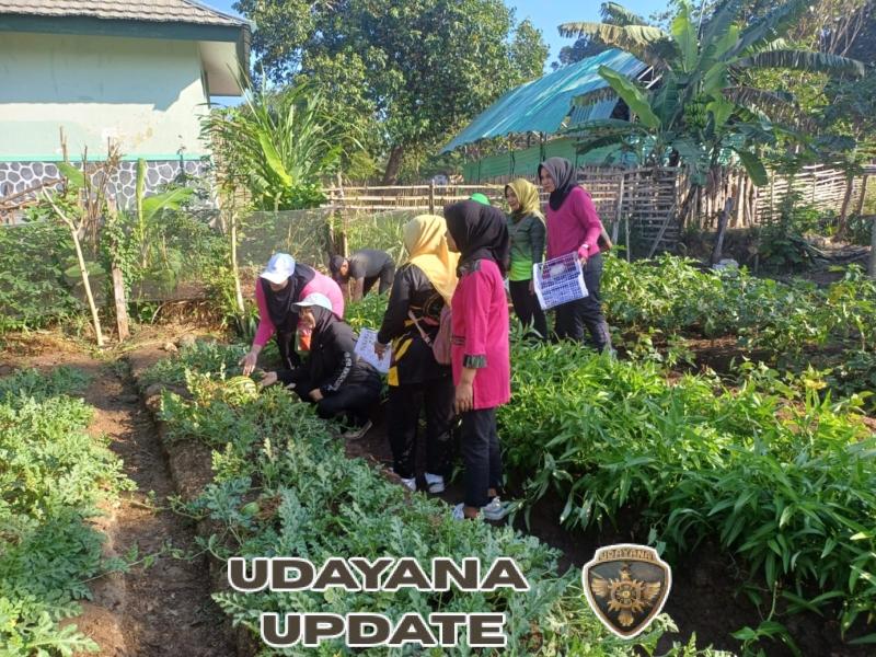 Ibu Ketua Persit Cabang XXVIII Kodim Dompu Panen Edugarden Wirabakti