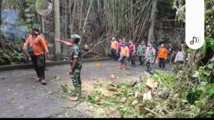 Danramil Kapten Inf I Gede Astawa Pastikan Akses Jalan Vital Kembali Normal