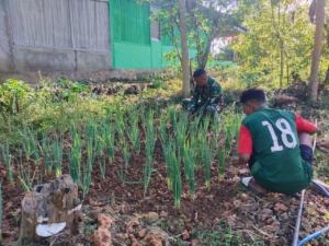 Tingkatkan Ekonomi Warga, Anggota Satgaster Pos Makir Bantu Rawat Tanaman Bawang