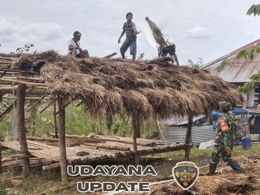 Wujud Kebersamaan, Babinsa dan Masyarakat Gotong Royong Bangun Rumah di Lamboya