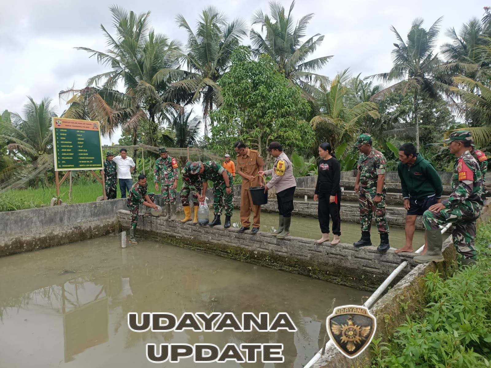 Anggota Koramil 02/Susut Bersama Warga Tebar Bibit Ikan Lele Dumbo Dukung Program Ketahanan Pangan