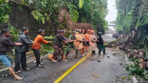 Sinergi TNI, BPBD, dan Warga Sukses Pulihkan Akses Jalan Raya Campuhan Ubud