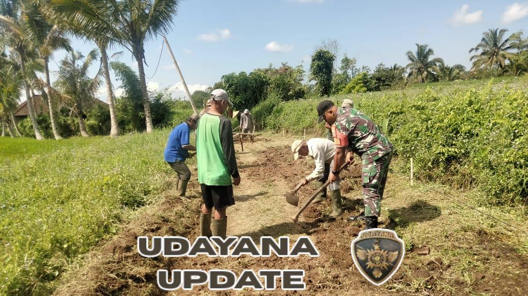 Babinsa Serka I Gede Putu Suparta Wijaya Turun Langsung dalam Kerja Bakti Pembuatan Jalan Subak