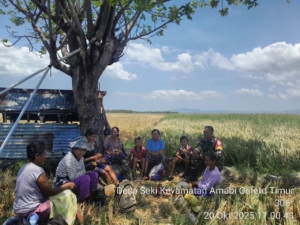 Babinsa Koramil Camplong Motivasi Warga Kembangkan Lahan Sawah