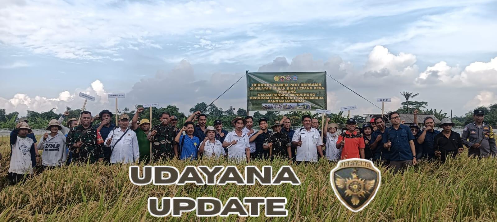 Sinergi TNI Dan Petani, Koramil Banjarangkan Hadiri Panen Raya Padi Di Subak Lepang