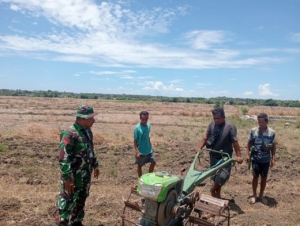 Program OPLA di Rote Timur, Babinsa Pantai Baru Pastikan Lahan Tak Produktif Jadi Sumber Panen Baru