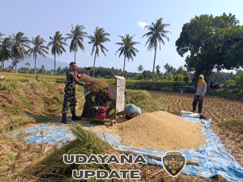 ‎Pendampingan Sergab di Pringgabaya, Babinsa Wujudkan Sinergi TNI dan Petani