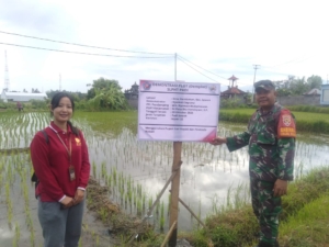 Wujud Kepedulian terhadap Petani, Babinsa dan Bhabinkamtibmas Dampingi Kegiatan SLPHT ke-2 di Kerobokan