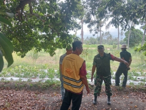 Sinergi Babinsa dan PUPR Provinsi Bali Cek Lapangan Program Sumur Bor di Desa Sinabun dan Kerobokan