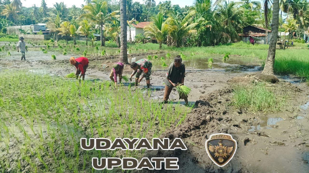 Pratu Aris Sonata Tadu Ajak Petani Desa kringa Optimalkan Musim Tanam