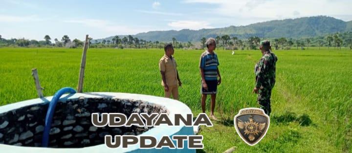 Serka Simran Masus Dampingi Petani Atasi Kekeringan Musim Kemarau