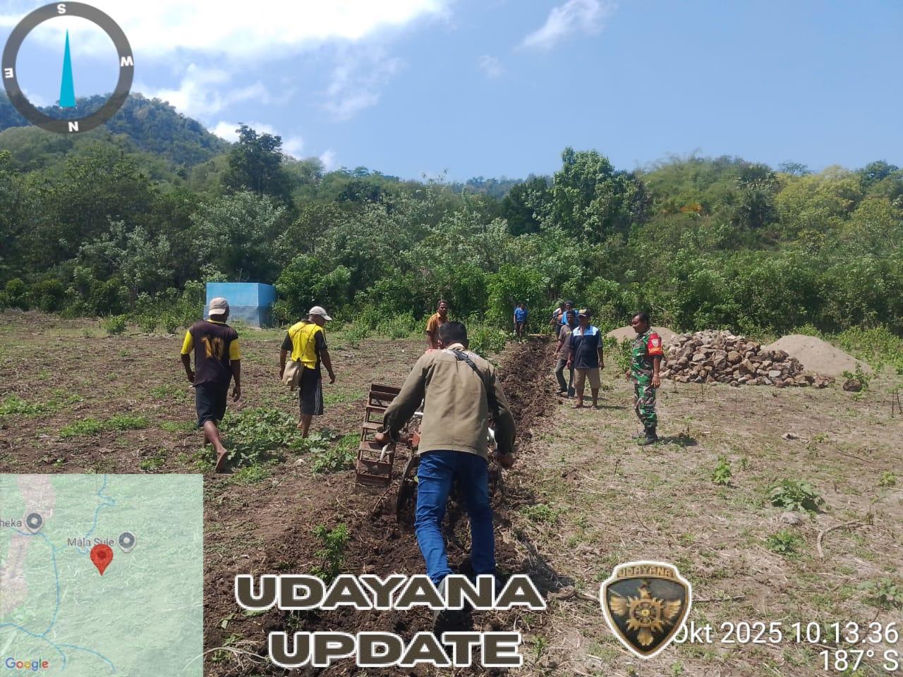 Babinsa Kodim 1602/Ende Dampingi Pematokan Irigasi Tersier di Desa Kamubheka