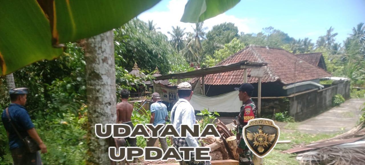 Pastikan Kesiapan, Babinsa Besan Dan Dinas DLHP Cek Lokasi Tanam Pohon Di Areal Pura Puseh Besan