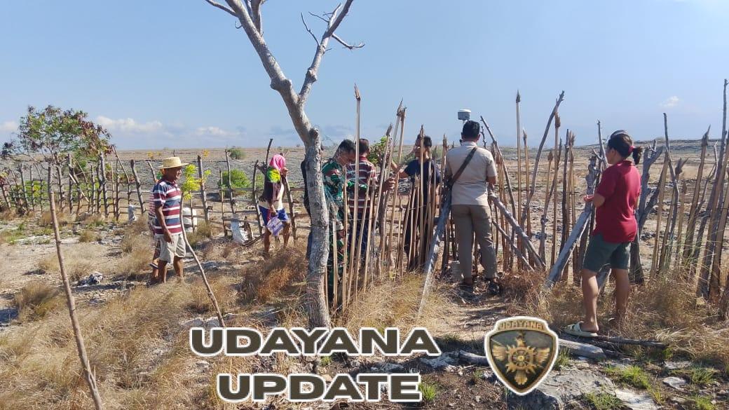 Babinsa Koramil 05/Waingapu Turun ke Lapangan Dampingi Warga Ukur Tanah