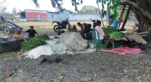 Pererat Hubungan dengan Warga, Babinsa Biut Bimbing Petani Hauteas Pasarkan Hasil Pertanian