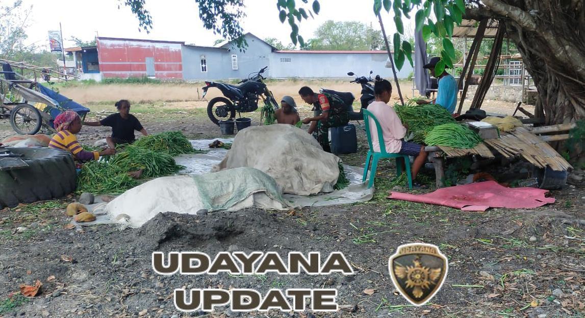 Pererat Hubungan dengan Warga, Babinsa Biut Bimbing Petani Hauteas Pasarkan Hasil Pertanian