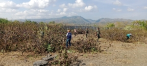 Dua Tim Posramil Wera Bersihkan Lahan Yon TP di Dusun Pruga dan Dusun Toronaru