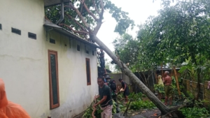 Sinergi Babinsa dan Warga Atasi Dampak Angin Kencang di Kuripan