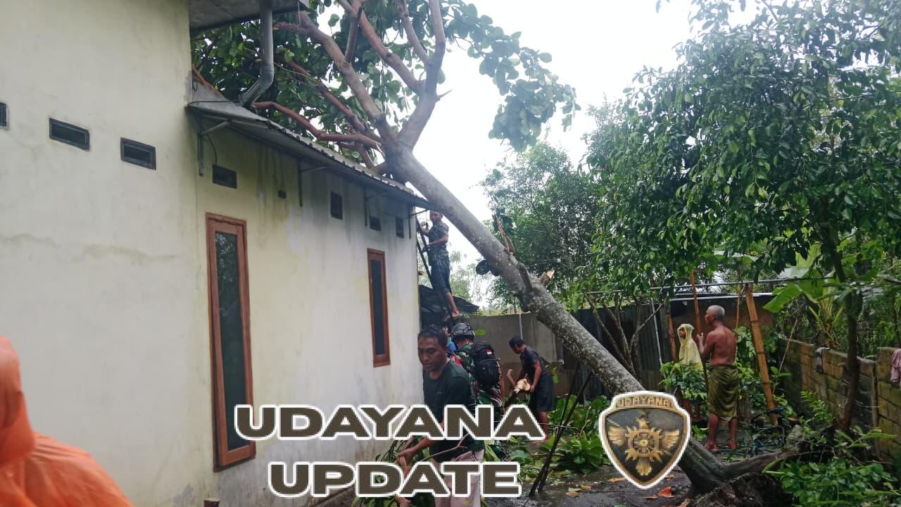 Sinergi Babinsa dan Warga Atasi Dampak Angin Kencang di Kuripan