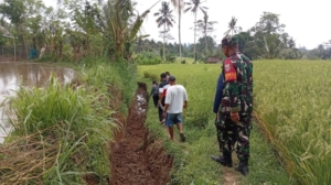 Babinsa Desa Undisan Dampingi Pengecekan dan Evaluasi Pembangunan Saluran Irigasi di Subak Ume Lawan