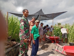 Babinsa Desa Bebandem monitoring pengerjaan saluran irigasi tersier Subak Sengkawan.