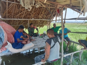 Wujudkan Kemanunggalan TNI Bersama Rakyat, Serda Basuki R Komsos Bersama Petani Di Desa Bena