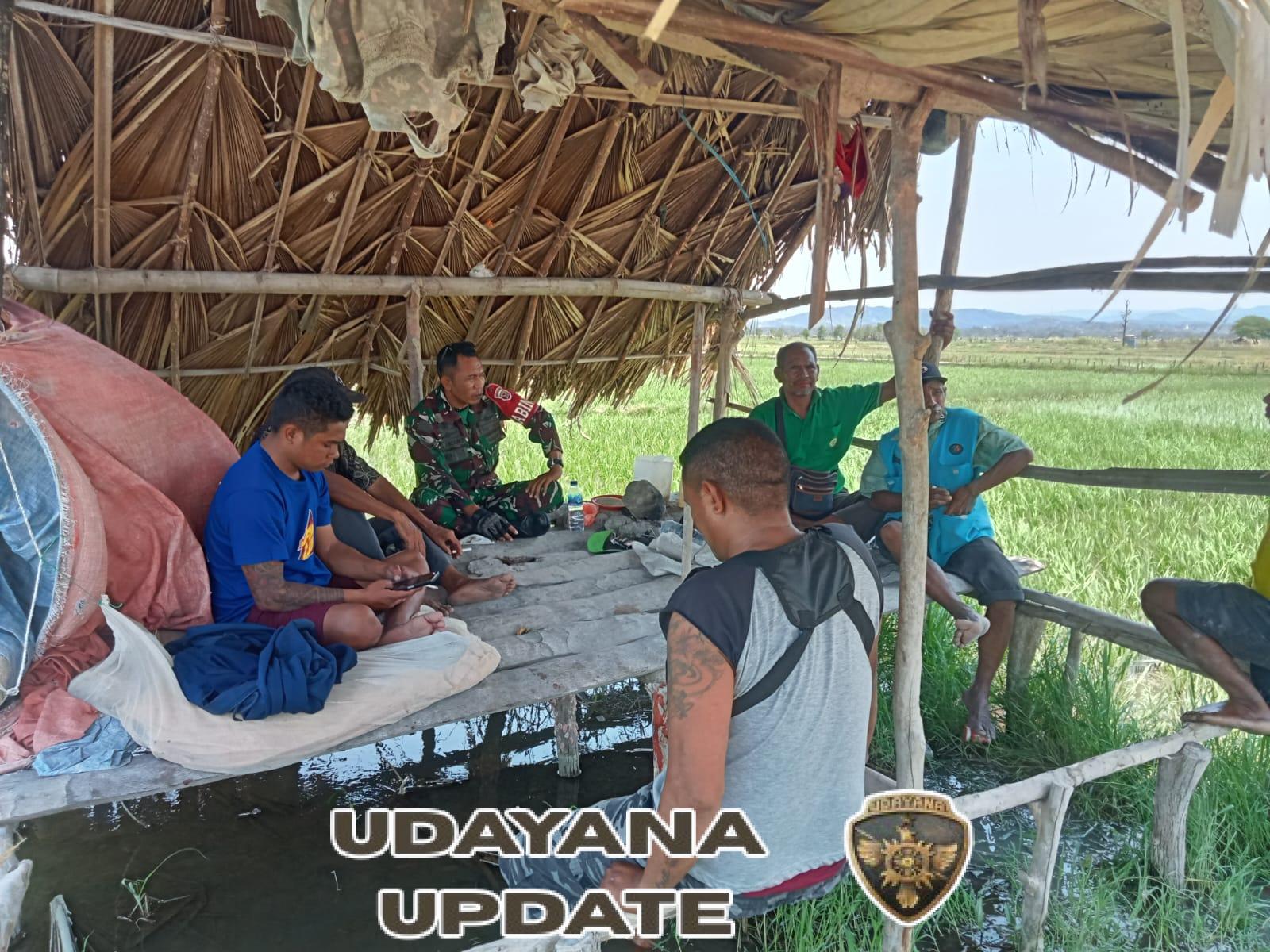 Wujudkan Kemanunggalan TNI Bersama Rakyat, Serda Basuki R Komsos Bersama Petani Di Desa Bena