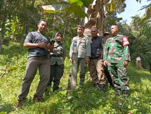 Sinergi Babinsa dan Polhut Amankan Kawasan Hutan Pusuk