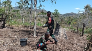 Babinsa Koramil Halilulik Kopda Leonito Bantu Petani Tanam Singkong