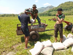 Percepatan Pembangunan TMMD ke-126 Kodim 1625/Ngada Lakukan Pendropingan Material di Desa Benteng Tawa