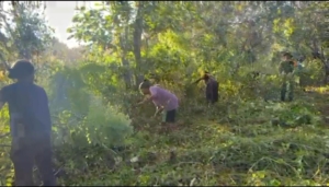 Babinsa Koramil 1624-07/Nagawutung Bersama Masyarakat Laksanakan Karya Bakti Bersihkan Kebun