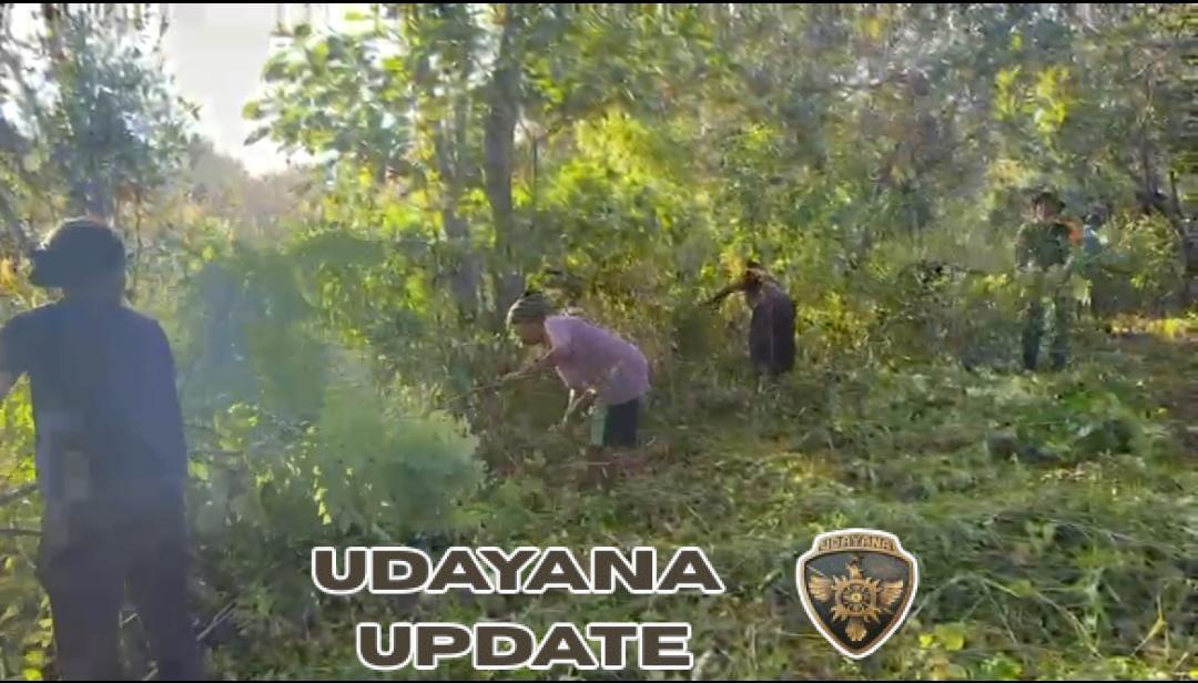 Babinsa Koramil 1624-07/Nagawutung Bersama Masyarakat Laksanakan Karya Bakti Bersihkan Kebun