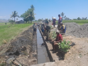 Babinsa Koramil 1625-05/Aesesa Gotong Royong Bersama Petani di Kelurahan Danga