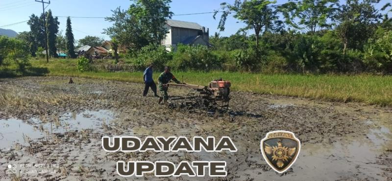 Dekat dengan Rakyat, Babinsa Koramil 1612-03/Borong Dampingi Petani Compang Teber