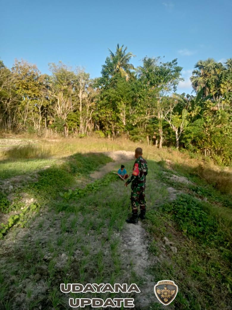 Babinsa Kolobolon Gelar Komsos Bersama Petani di Perkebunan
