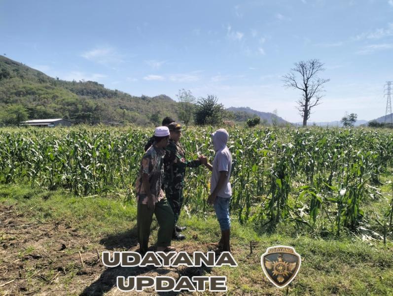 Babinsa Madaprama Mediasi Konflik Antarwarga, Wujudkan Penyelesaian Damai di Wilayah Binaan