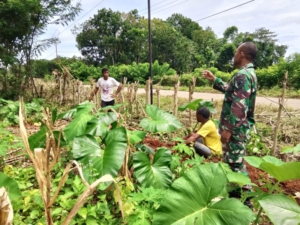 Sertu Latif Sambangi Petani, Pererat Hubungan Babinsa dan Warga