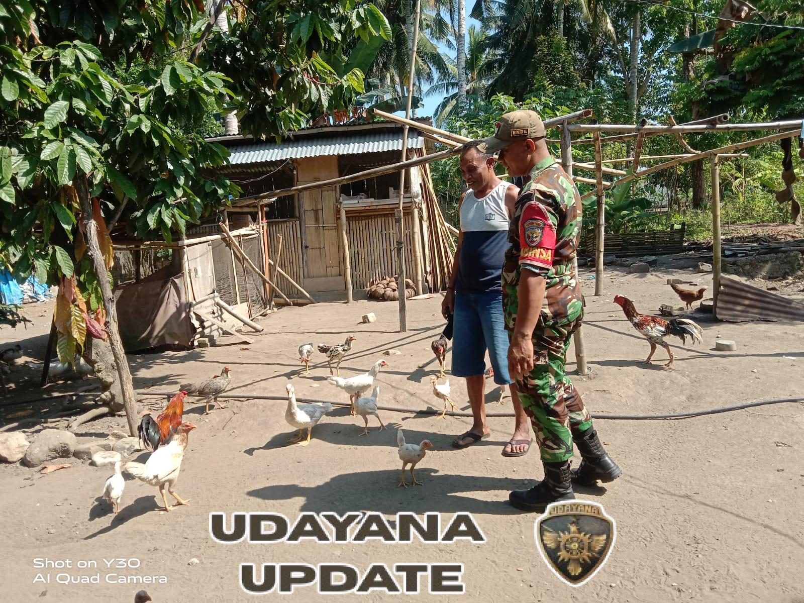 Babinsa Koramil 1602-01/Ende Tingkatkan Komsos dan Keamanan Wilayah di Desa Ndetuszea