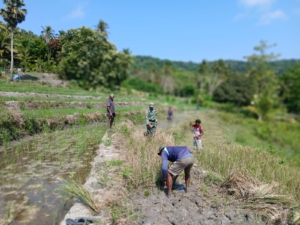 Sertu Eujebio Ajak Petani Beskoro Aktifkan Lahan Pertanian Kembali