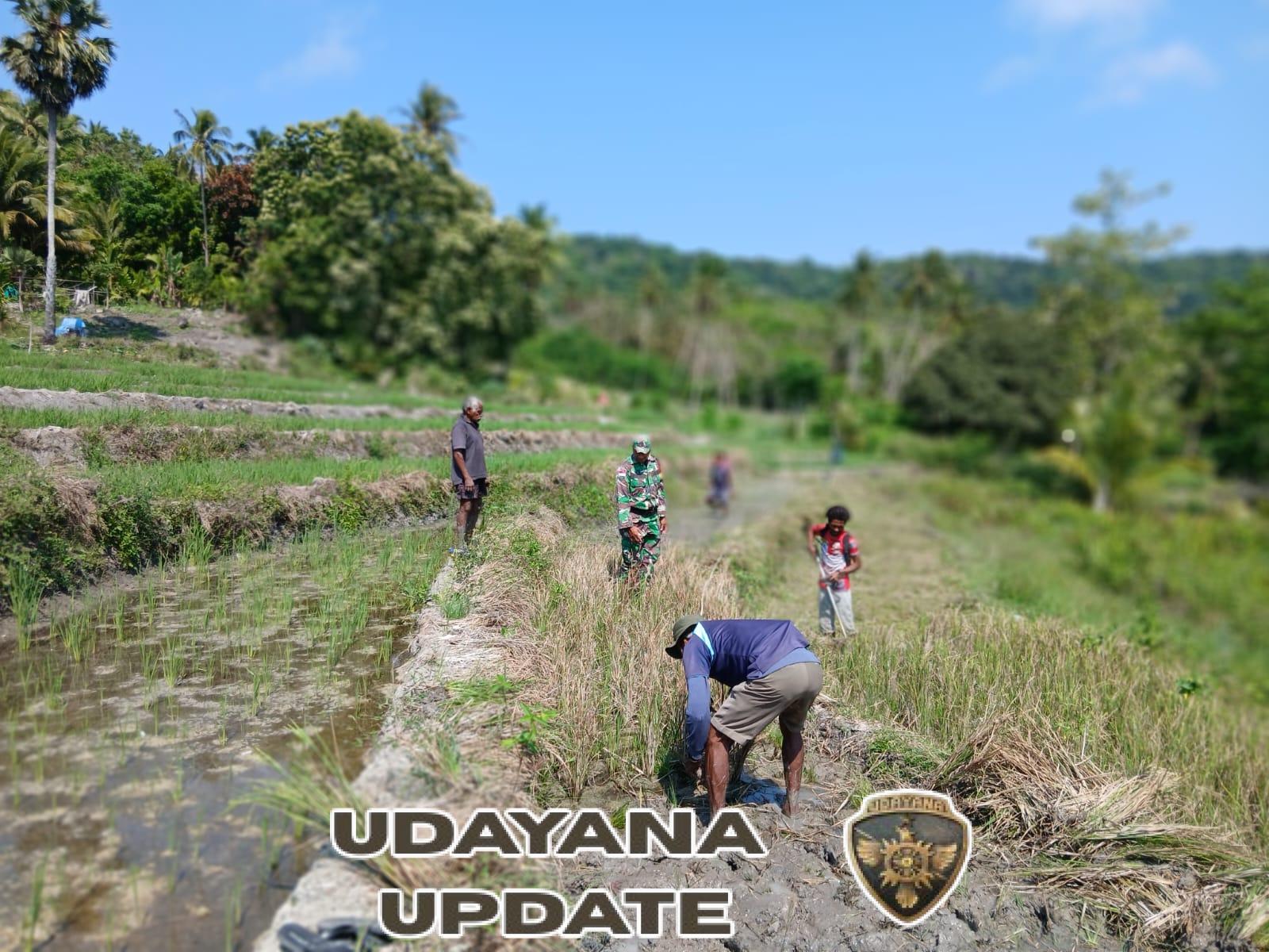 Sertu Eujebio Ajak Petani Beskoro Aktifkan Lahan Pertanian Kembali